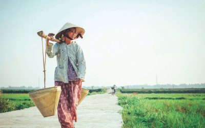 Investing As a Vietnamese Outside of Vietnam
