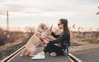 How To Use & Trade Bonds In Your Portfolio As An Expat
