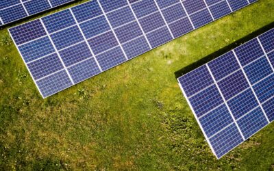 Canadian Solar: Stock Picking Review For an Expat Client
