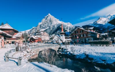 Swiss Quote Review