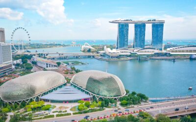 Singapore Supplementary Retirement Scheme for Expats