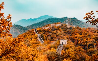 New Portfolio Ideas – China Growth
