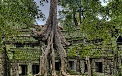 The Right Time to Invest in Cambodia?
